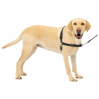 PetSafe Easy Walk No-Pull harness