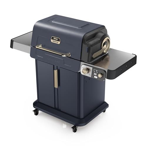 Flexflame Electric Grill and Smoker Roaster 5-In-1 