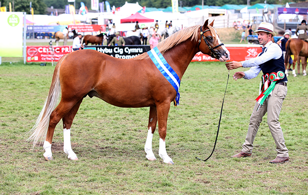 Royal Welsh Show 2018