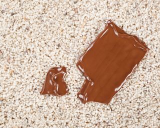 chocolate stain on carpet