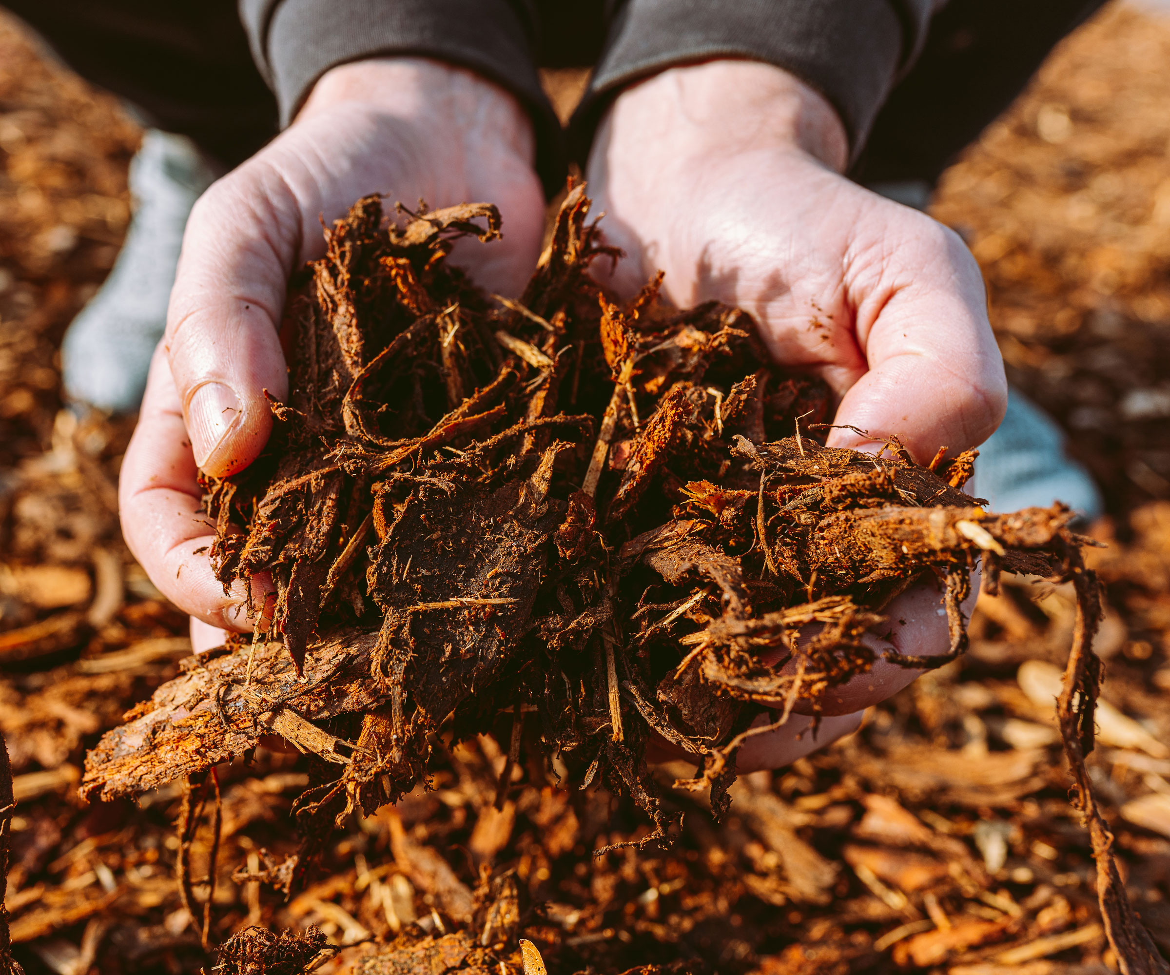 hands holding wood-based mulch on sunny day