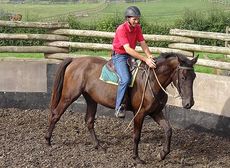 Jason Webb riding Billy