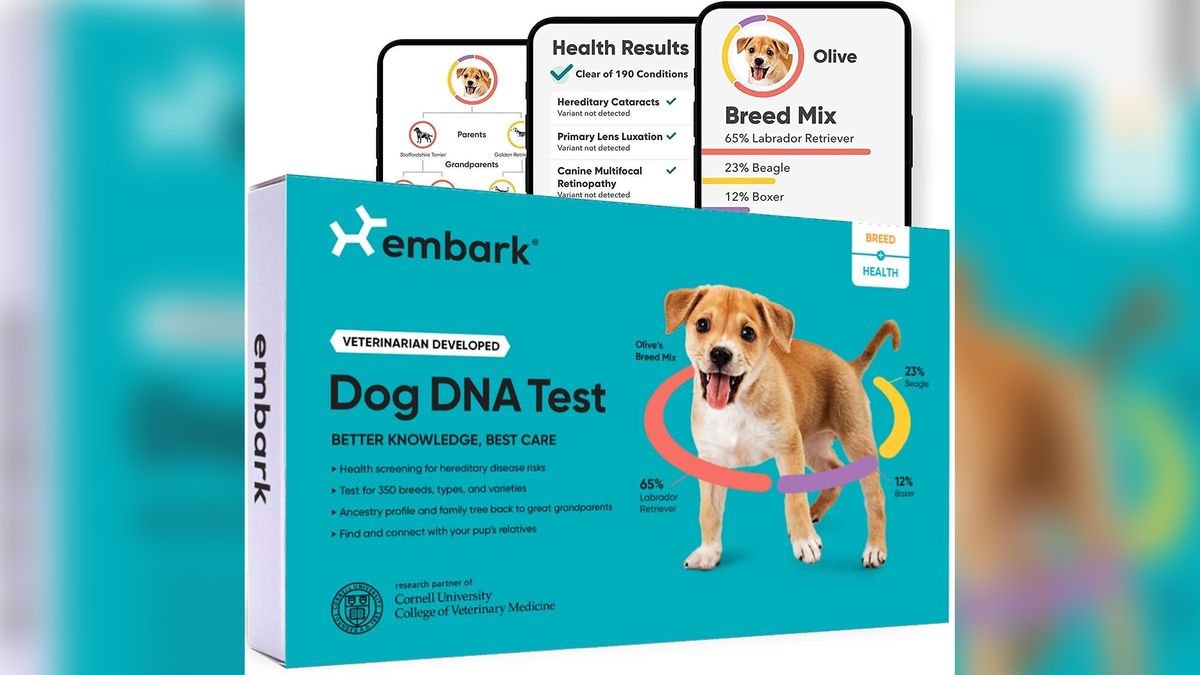 Black Friday Deal: Save 32% on this dog DNA test kit