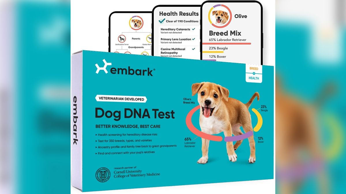 Embark Dog DNA Test Kit deal for Cyber Monday.