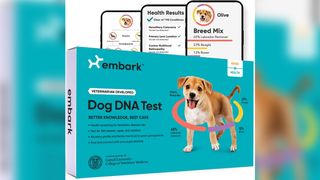 Black Friday Deal Save 32 on this dog DNA test kit Live Science