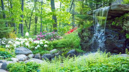 A waterfall and planting beneath a canopy of trees at Coastal Maine Botanical Gardens