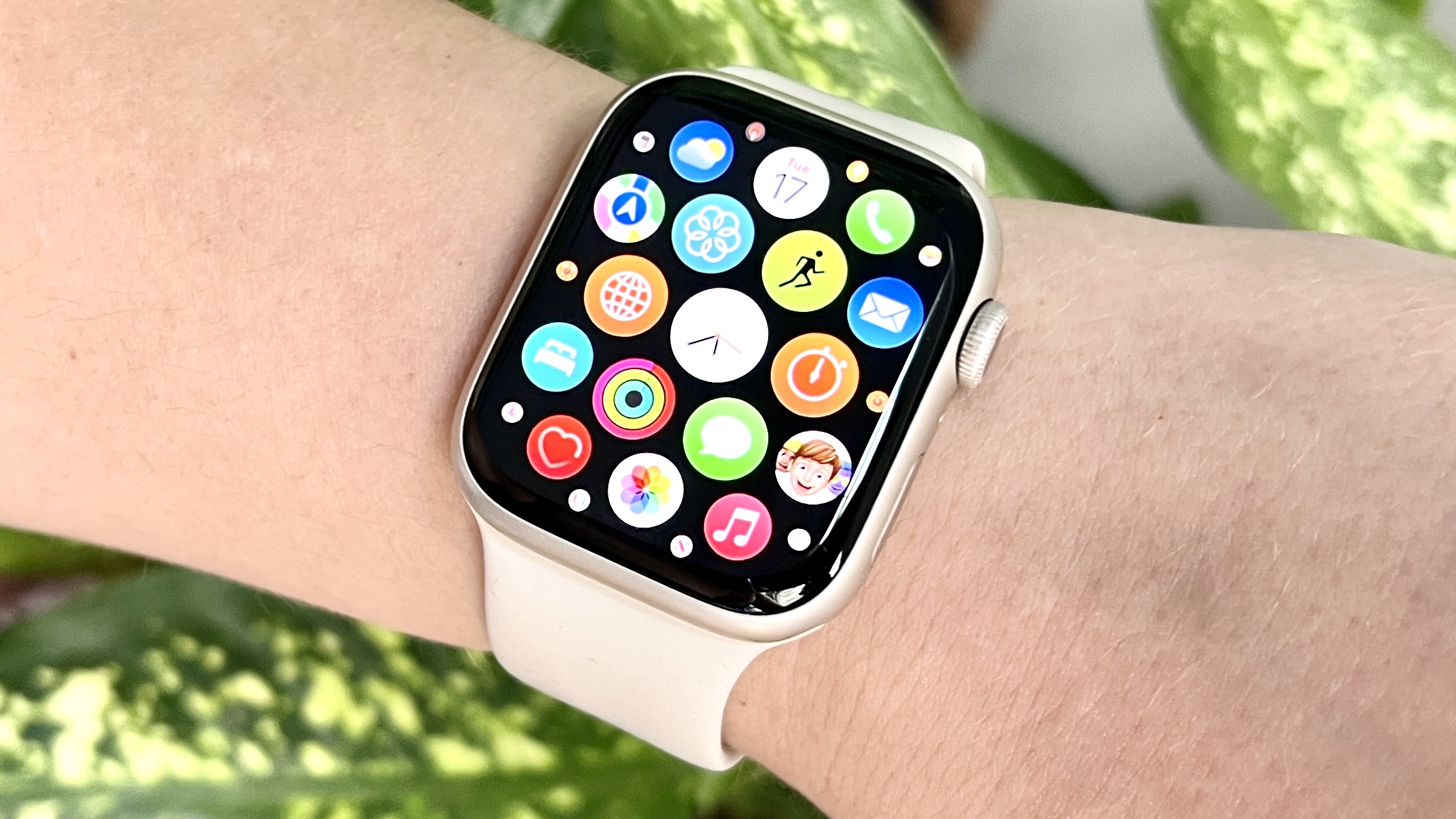 Apple Watch app view