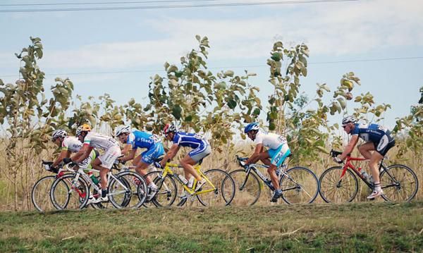 The front of the race on the road to Santa Clara.