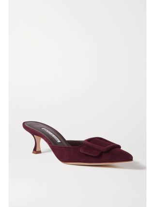 Manolo Blahnik, Maysale 50 Buckled Suede Mules in Burgundy