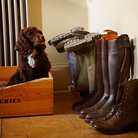 room with brown dog in yellow box and yellow tiled floor