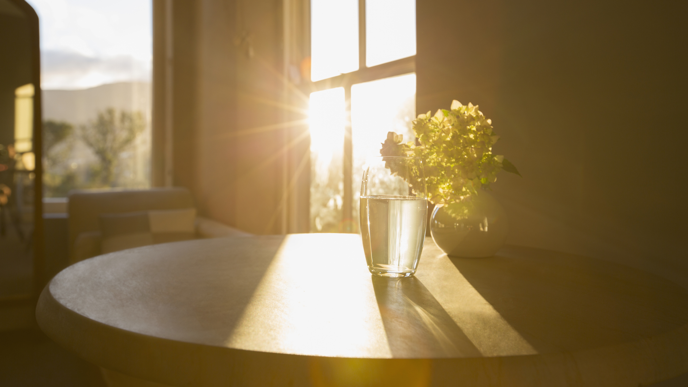 sunlight streaming in through window onto table with glass of water and flowers