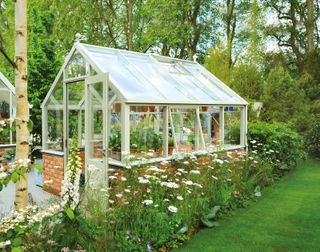 traditional cream painted greenhouse in a pretty garden surrounded by flowerbeds