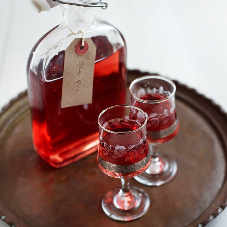 Sloe Gin-food-alcohol-woman and home