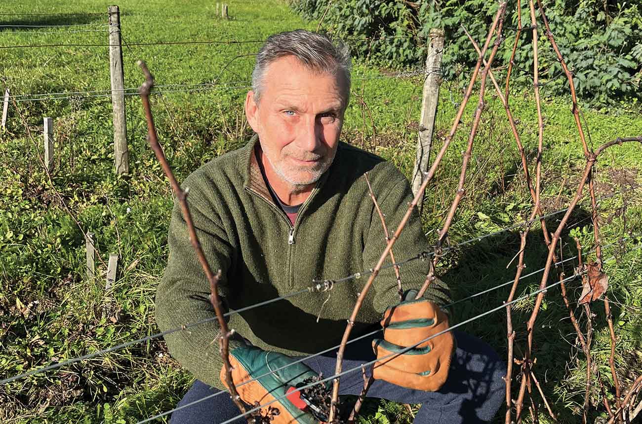 Peter Hahn in vineyard