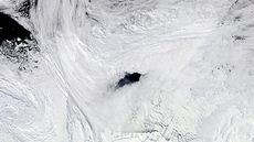 An aerial view of the Maud Rise polynya 