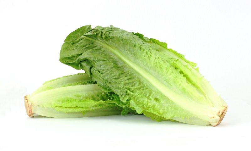 Two stalks of romaine lettuce.