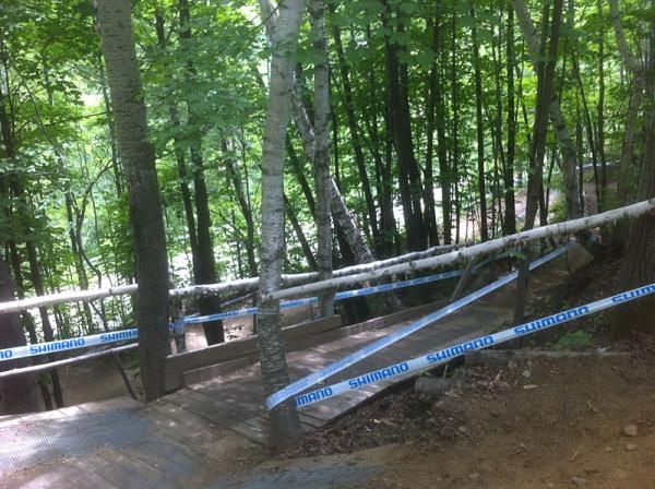There are lots of bridges like this out on the cross country course