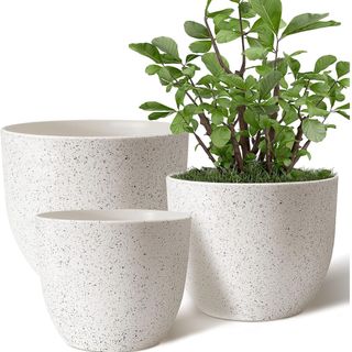 Giraffe Creation Plant Pots 10/9/8 inch Set of 3