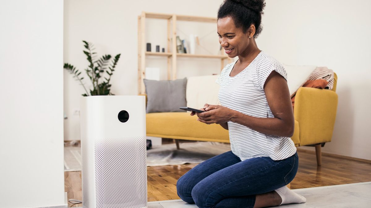 A woman setting up an air purifier