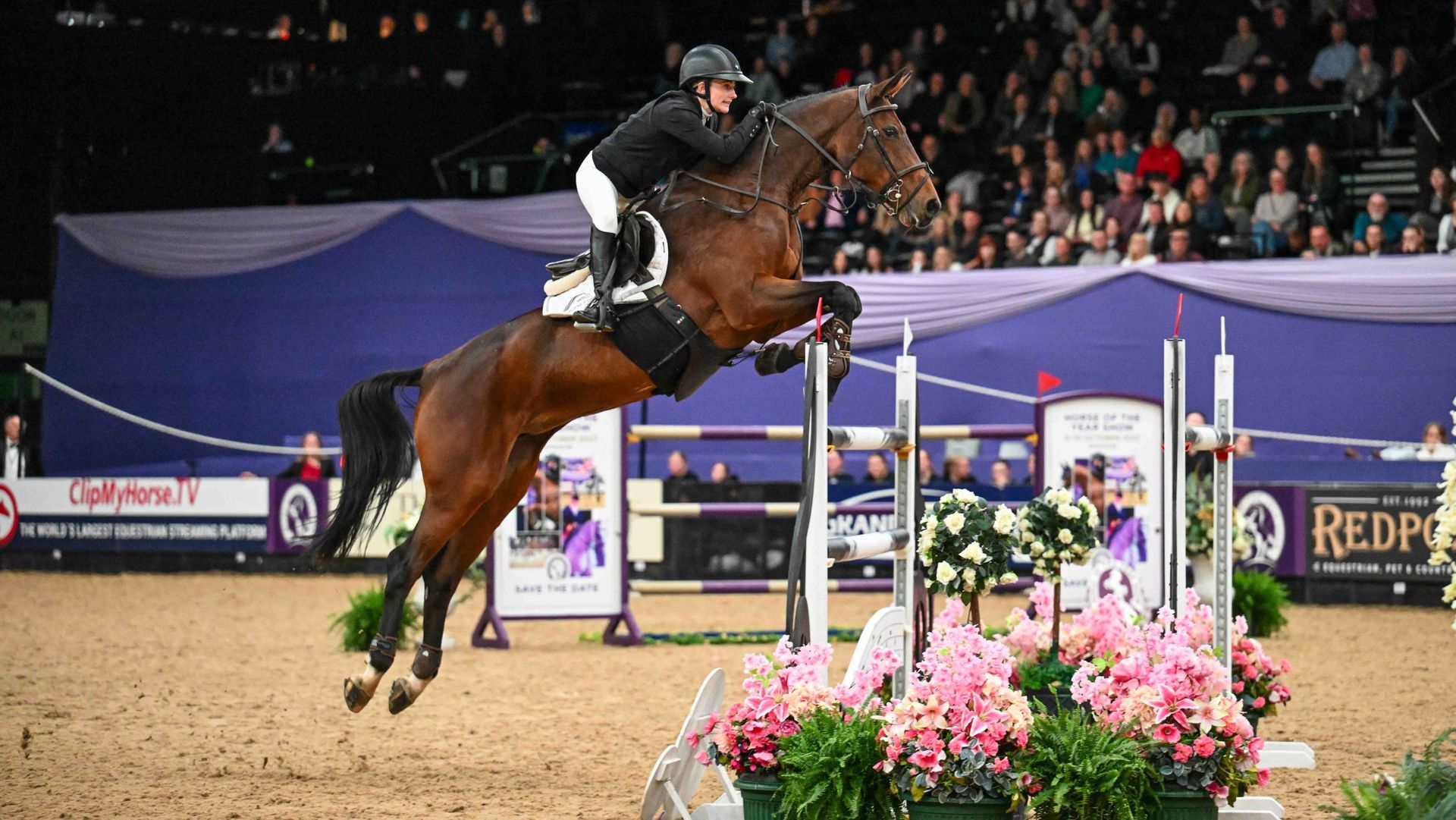 Jodie Hall McAteer and Hardessa win the HOYS leading showjumper of the year grand prix