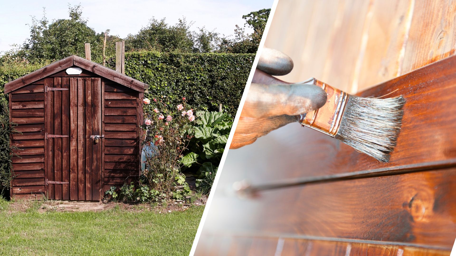 composite of wooden shed in garden and a picture of person painting treatment on wood 
