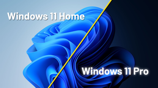 The brand graphic for Windows 11 showing a light mode and dark mode side by side, split with a yellow line. The text Windows 11 Home appears on the left, and Windows 11 Pro on the right