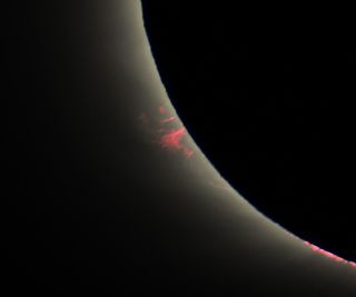 During the total solar eclipse last Tuesday (July 2), bright-pink solar prominences became visible around the sun's atmosphere as the moon blocked its bright surface from view. These prominences are made of tangled magnetic field lines that hold on to plasma in the sun's chromosphere, and the features can extend all the way out into the sun's corona.