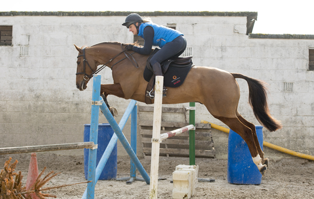 Billy The Red enjoys a jump during his session in the outdoor school