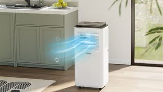 white portable air con unit in kitchen with green cabinets and wooden flooring