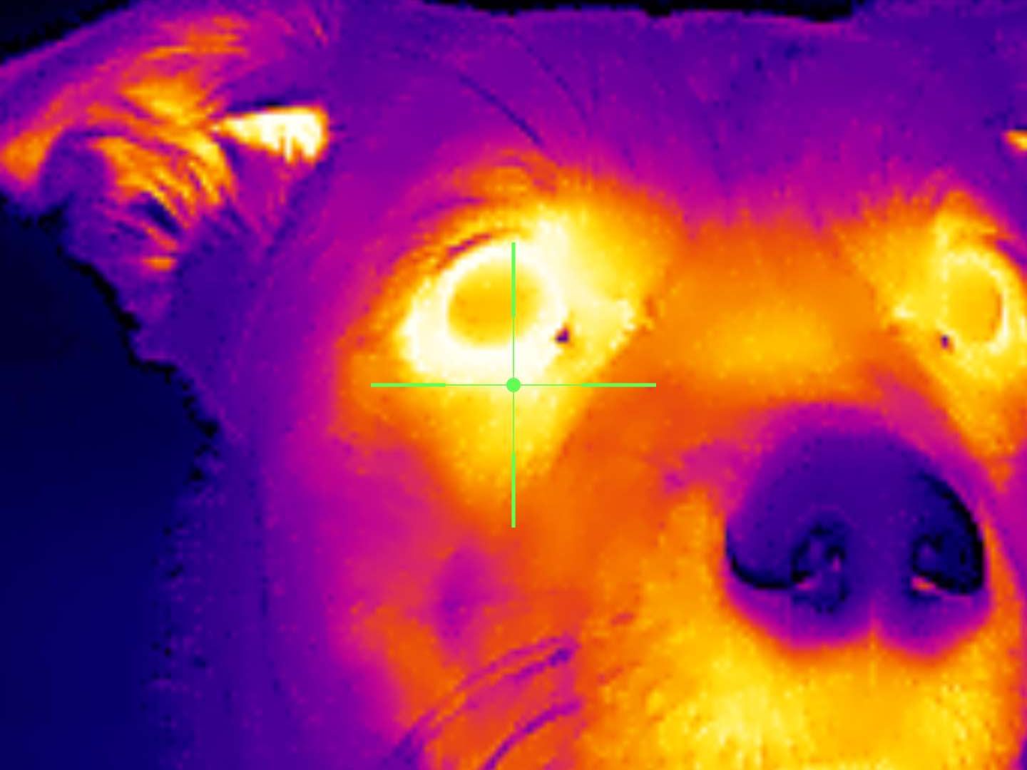 Xinfrared One XH09 captures