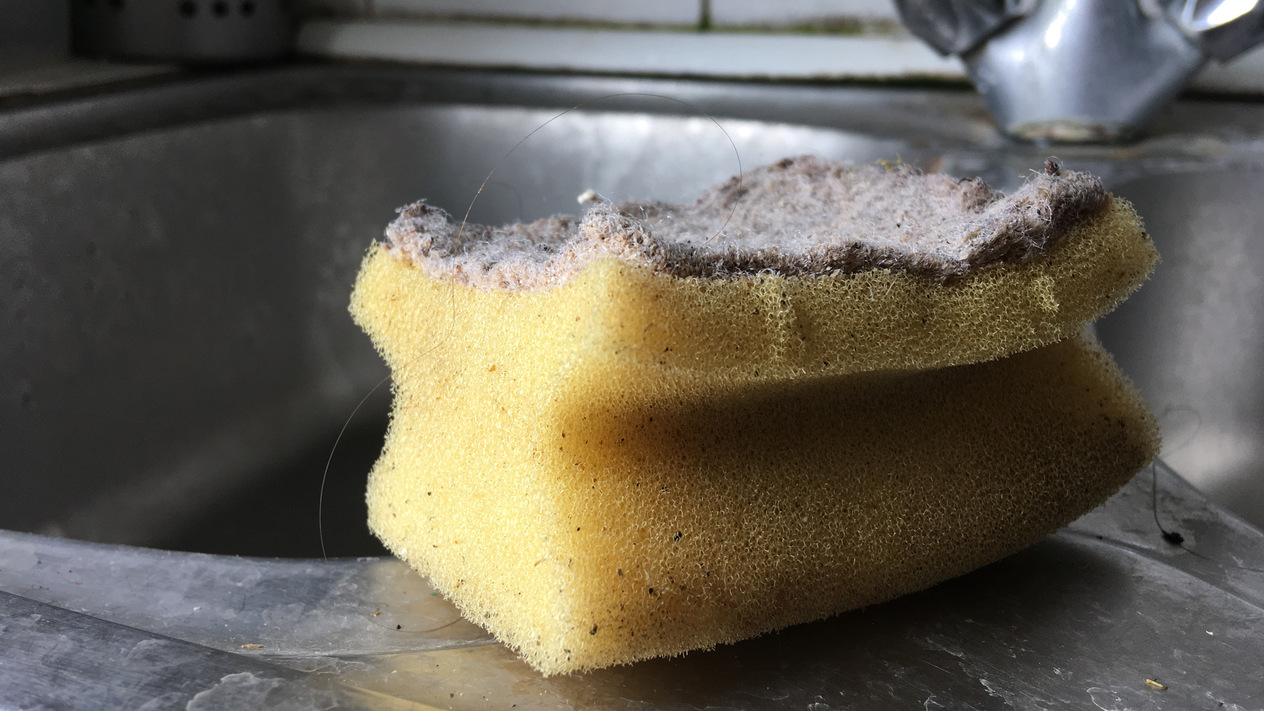 Dirty dish washing sponge