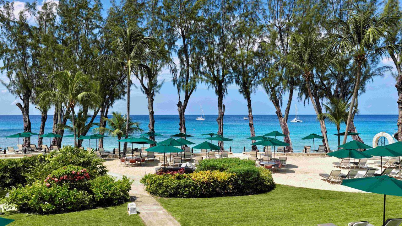 Coral Reef Club