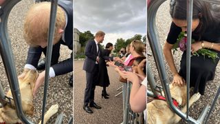 Prince Harry and Meghan pet a golden retriever at Windsor Castle