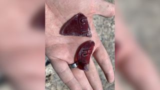 Glass fragments are a common find at the Terrace ghost town site. Archaeologists conducted two digs here in 2020. The town had a population of about 500 at its peak, but many of the buildings were destroyed by a fire in the early 1900s.