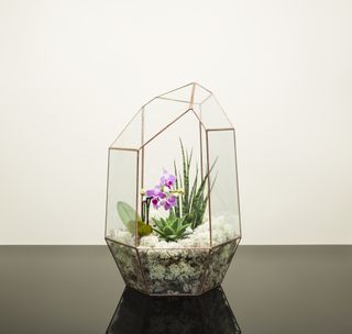 10 terrarium ideas for a beautiful plant display