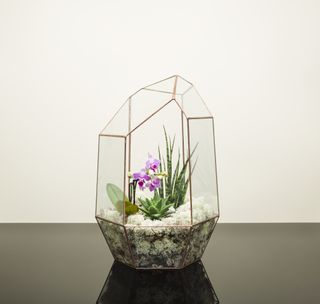 Supersize Copper Gem Terrarium