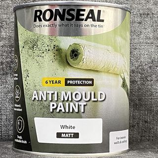 Ronseal Anti-Mould paint