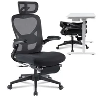 FlexiSpot Foldex Ergonomic Office Chair FlexiSpot Foldex Ergonomic Office Chair