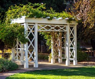 A white pergola in a garden with climbing plants