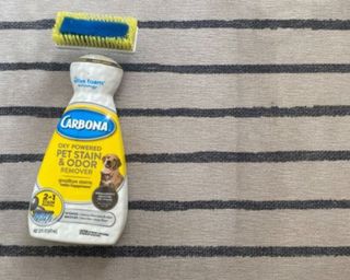 Upholstery cleaner on rug
