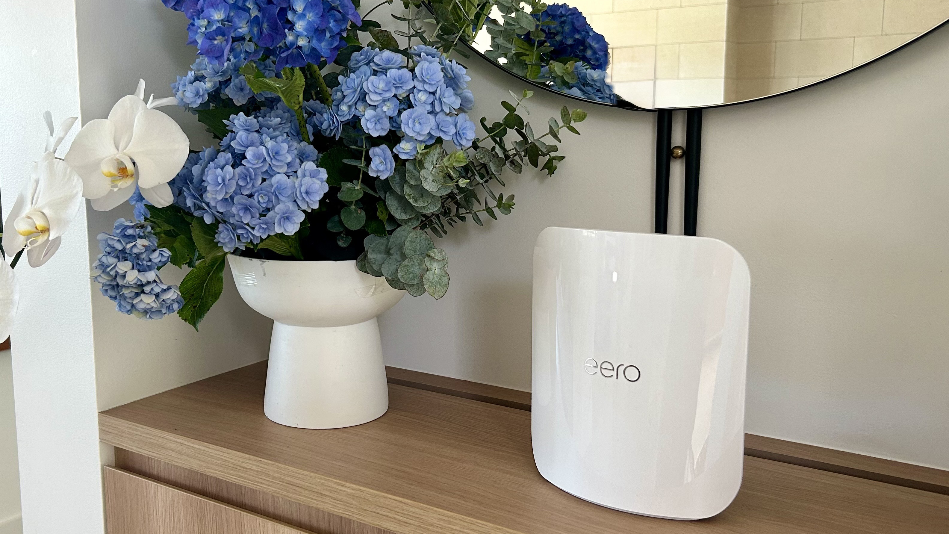 Eero 7 outdoor with floral arrangement
