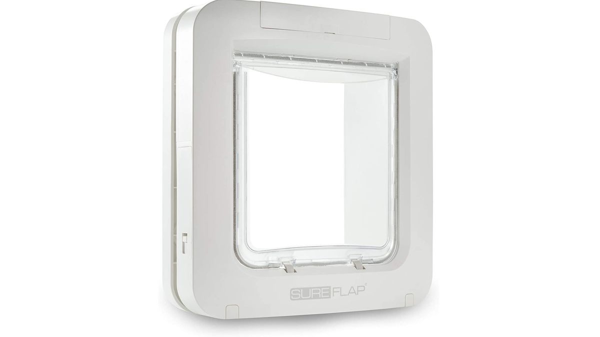 Best microchip cat flap 2024 for you and your kitty's home PetsRadar