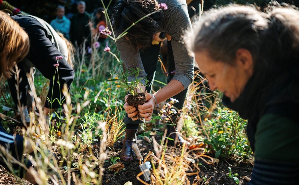 People planting together in a garden.