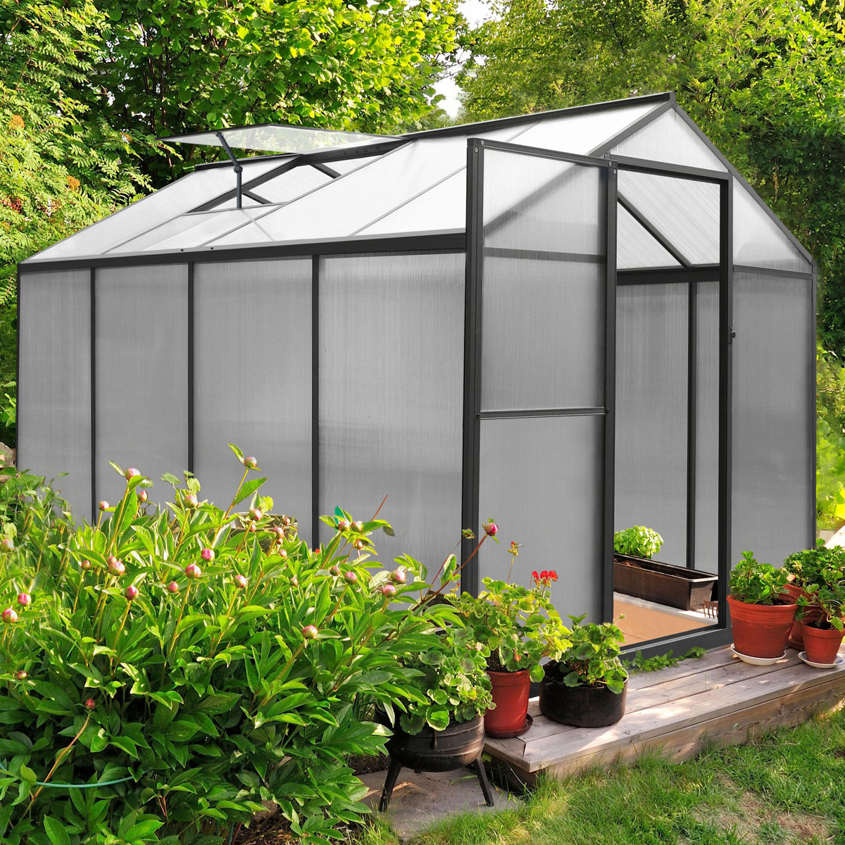 Veikous 6 Ft. X 8 Ft. Aluminum Polycarbonate Walk-In Greenhouse | Wayfair