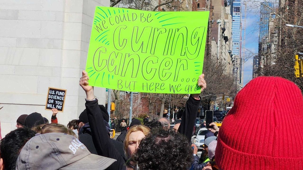 A woman holds up a sign that reads "We could be curing cancer...but here we are"