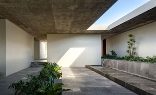 Planting in covered courtyard with central open skylight showing architectural waterfall