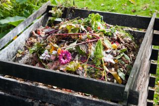 Compost bin in the garden