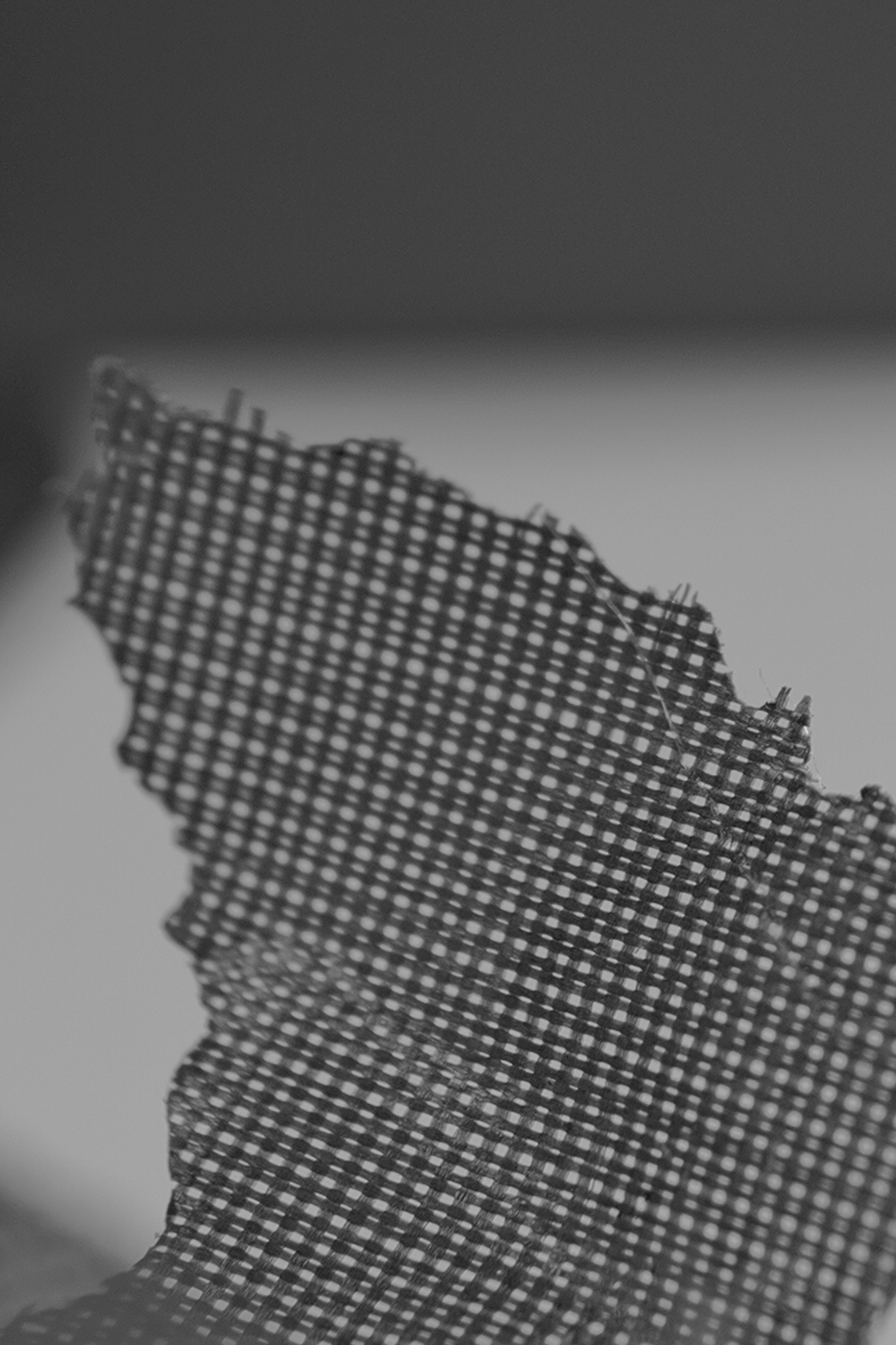 Leica Q3 Monochrom vs Leica Leitzphone macro comparison