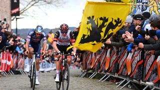 Van Der Poel and Pogacar climbing together the tour of flanders