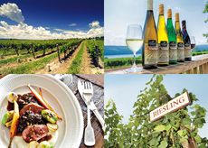 Finger Lakes, travel